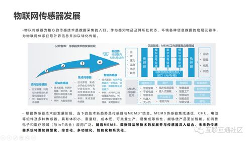 IT互联网科技沙龙第二期圆满落幕，聚焦网络信息技术前沿动态